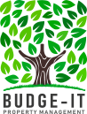 Budget IT Logo